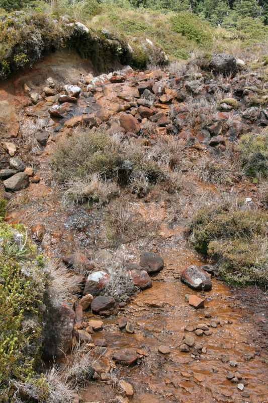 Nieuw-Zeeland 2011 - 0846